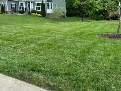 Lawn care service in Glen Allen, 23059