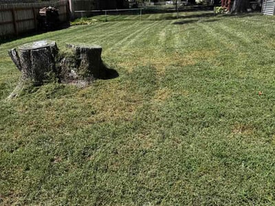 Lawn care service in Overland Park, 66204