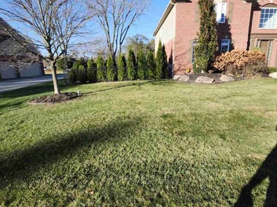 Lawn care service in Troy, 48085