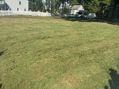 Lawn care service in Stafford, 22554