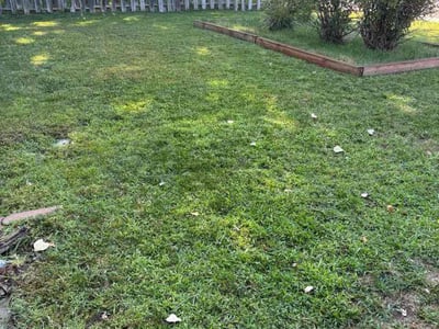Lawn care service in Arvada, 80002
