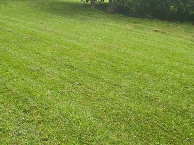 Lawn care service in Woodstock, 30188