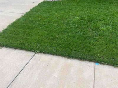 Lawn care service in Colorado Springs, 80923
