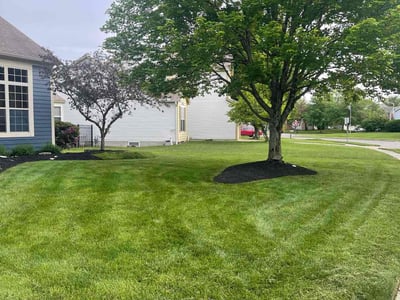 Lawn care service in Reynoldsburg, 43068