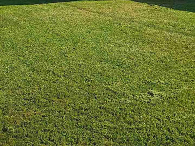 Lawn care service in Grand Prairie, 75052