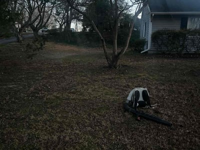 Lawn care service in Bowie, 20716