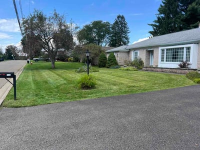 Lawn care service in Binghamton, 13903
