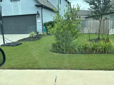 Lawn care service in Cypress, 77433