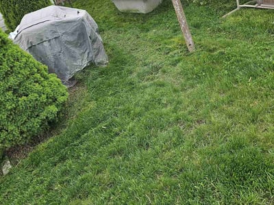 Lawn care service in Dunmore, 18512