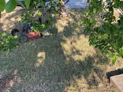Lawn care service in Austin, 78744