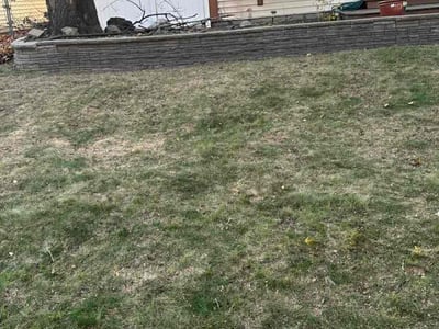 Lawn care service in Minneapolis, 55417