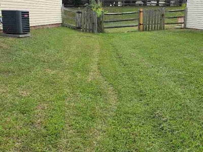 Lawn care service in Monroe, 28110