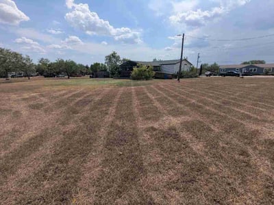 Lawn care service in Kyle, 78640