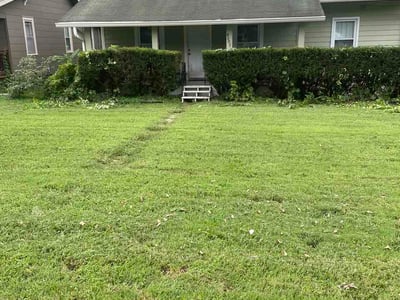 Lawn care service in Kansas City, 64117