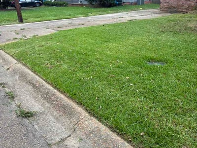 Lawn care service in Jackson, 39206
