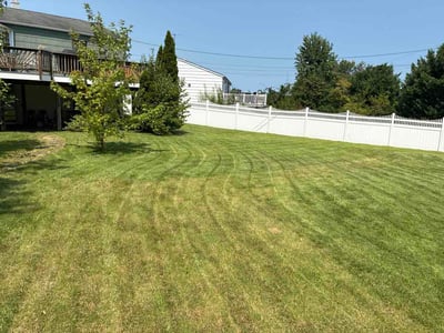 Lawn care service in Rosedale, 21237