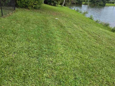 Lawn care service in Boca Raton, 33434