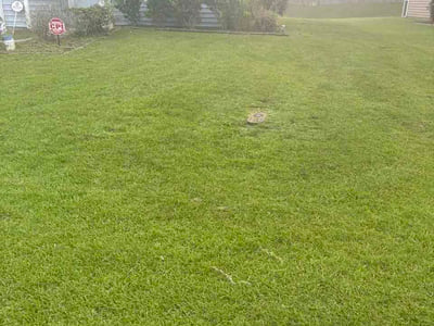 Lawn care service in Moncks Corner, 29461