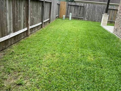 Lawn care service in Cypress, 77429