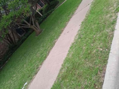 Lawn care service in Allen, 75002