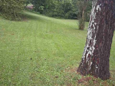 Lawn care service in Birmingham, 35207