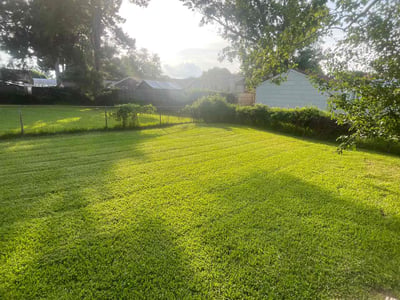 Lawn care service in Hampton, 23669