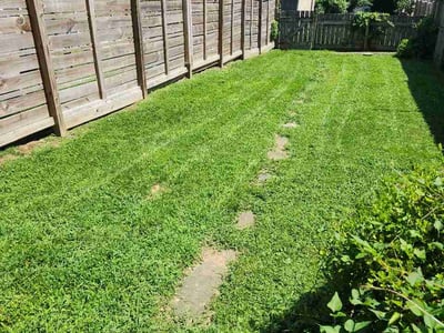 Lawn care service in Lancaster, 17603