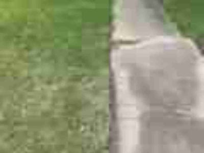 Lawn care service in Corpus Christi, 78412
