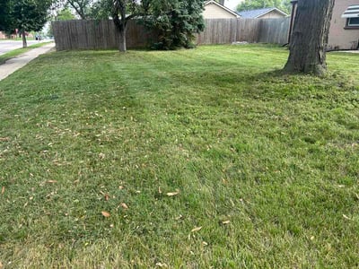 Lawn care service in West Allis, 53227