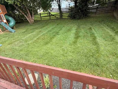 Lawn care service in Louisville, 40299