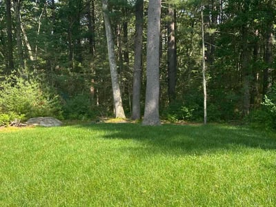 Lawn care service in North Reading, 01864