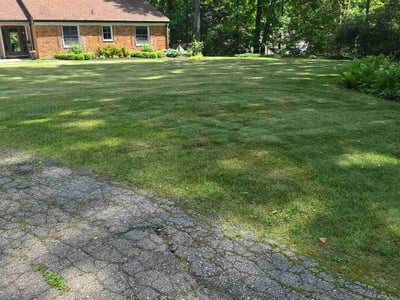 Lawn care service in Village of Clarkston, 48348