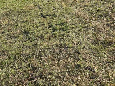 Lawn care service in Cleburne, 76031