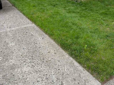 Lawn care service in Grand Rapids, 49505