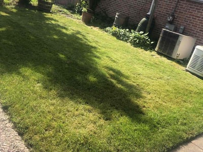 Lawn care service in Harvey, 60426