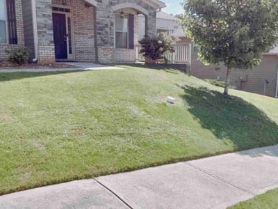 Lawn care service in Loganville, 30052