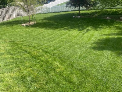 Lawn care service in Papillion, 68133