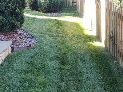Lawn care service in Greensboro, 27455