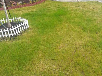 Lawn care service in Greenville, 29605