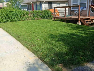 Lawn care service in Kansas City, 64130