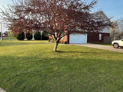Lawn care service in Murfreesboro, 37128