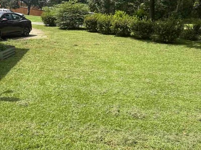 Lawn care service in Mobile, 36609