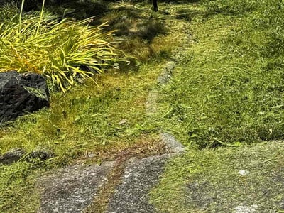 Lawn care service in Keizer, 97303