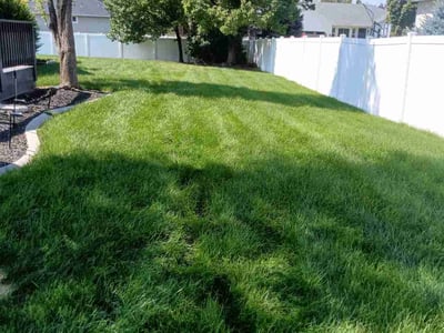 Lawn care service in Lehi, 84043