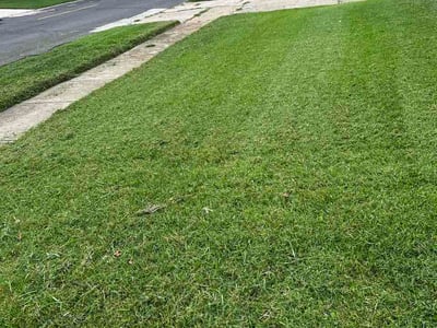 Lawn care service in Florissant, 63031
