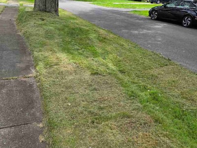 Lawn care service in Rochester, 14606