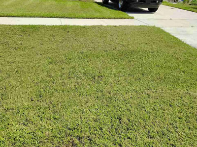 Lawn care service in Mount Dora, 32757