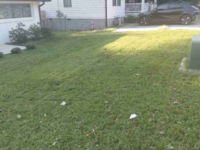 Lawn care service in Atlanta, 30314