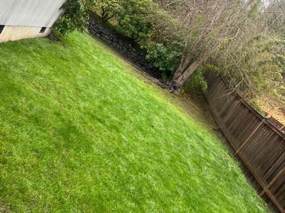 Lawn care service in Puyallup, 98374