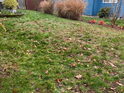 Lawn care service in Portland, 97223